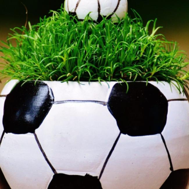 IAKS Schweiz Fußball Gras